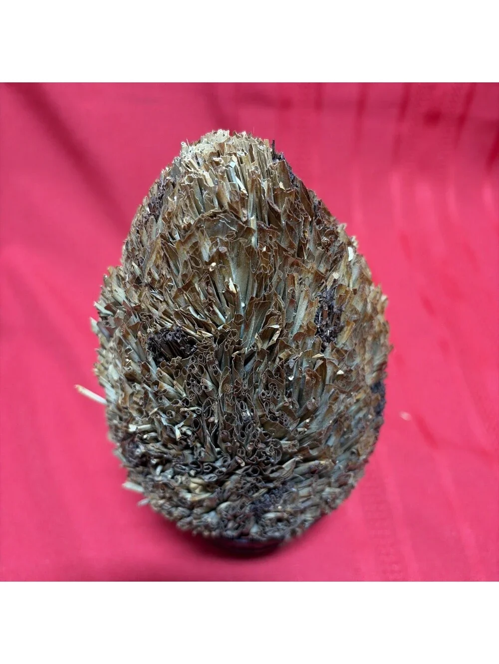Decorative Wheat Topiary 10 1/2 Inch H Autumn Fall Natural